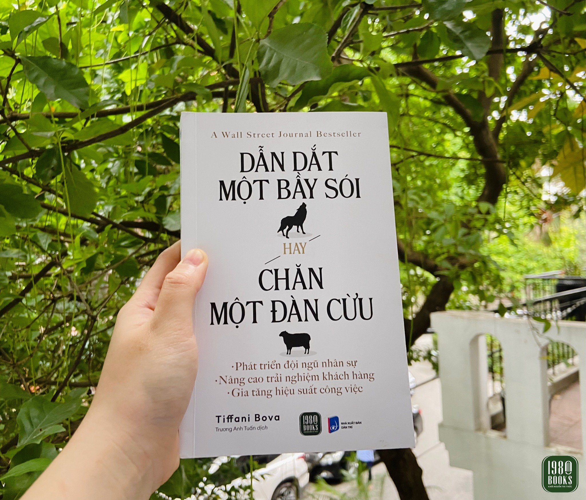 "Dẫn Dắt Một Bầy Sói Hay Chăn Một Đàn Cừu" kết hợp kinh nghiệm cá nhân, nghiên cứu sâu rộng và các ví dụ thực tế từ các công ty hàng đầu để cung cấp một hướng dẫn toàn diện về cách xây dựng một tổ chức năng động và sáng tạo.